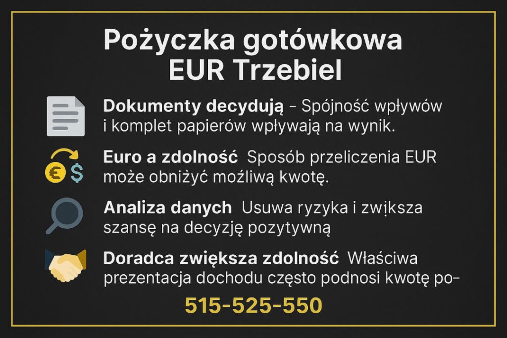 Infografika o pożyczce gotówkowej EUR Trzebiel pokazująca wpływ dokumentów, sposobu przeliczenia euro i analizy danych na zdolność kredytową. Grafika edukuje osoby pracujące za granicą, jak poprawnie przygotować wniosek o pożyczkę w euro w Polsce.